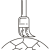 Setificante